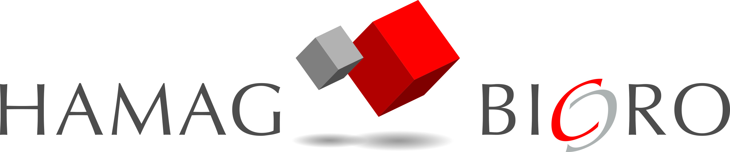 HAMAG-BICRO logo